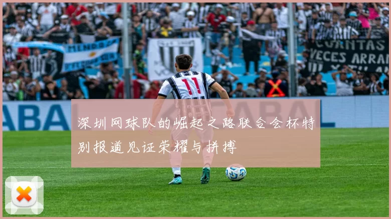 深圳网球队的崛起之路联合会杯特别报道见证荣耀与拼搏