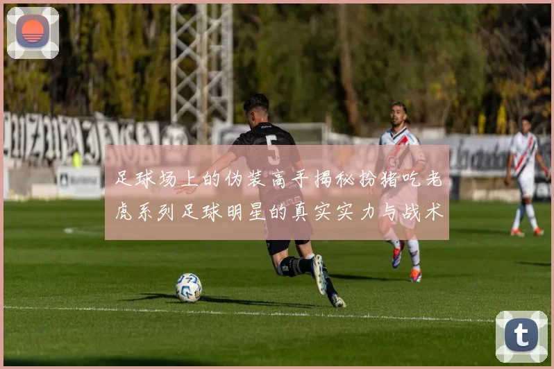 足球场上的伪装高手揭秘扮猪吃老虎系列足球明星的真实实力与战术解析