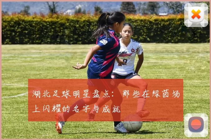湖北足球明星盘点：那些在绿茵场上闪耀的名字与成就