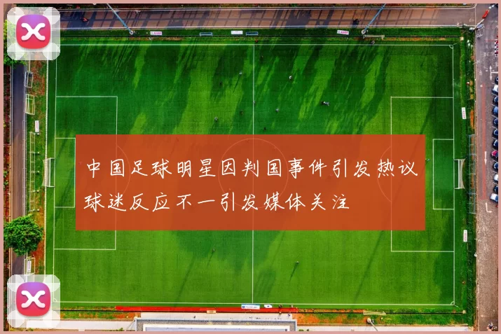 中国足球明星因判国事件引发热议球迷反应不一引发媒体关注