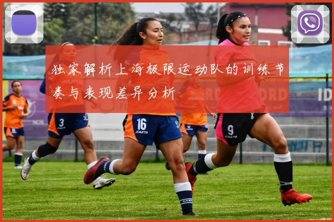 独家解析上海极限运动队的训练节奏与表现差异分析
