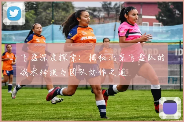 飞盘深度探索：揭秘北京飞盘队的战术转换与团队协作之道
