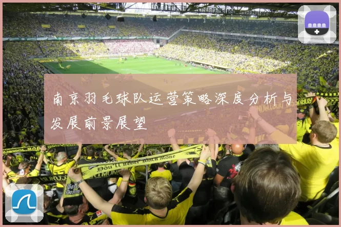 南京羽毛球队运营策略深度分析与发展前景展望