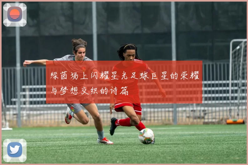 绿茵场上闪耀星光足球巨星的荣耀与梦想交织的诗篇