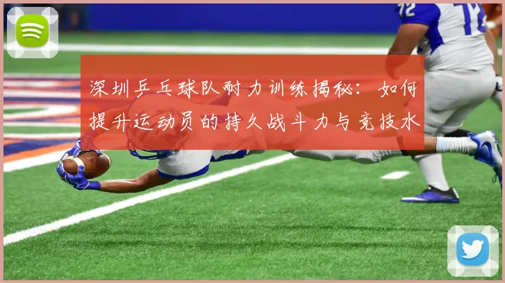 深圳乒乓球队耐力训练揭秘：如何提升运动员的持久战斗力与竞技水平