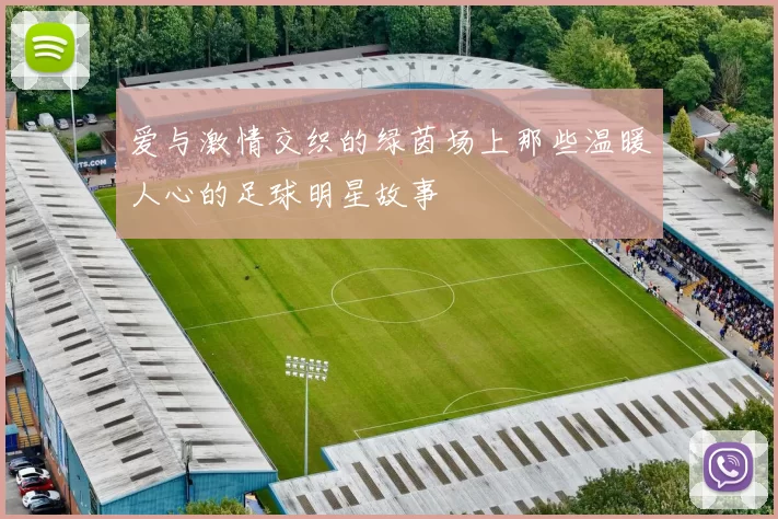 爱与激情交织的绿茵场上那些温暖人心的足球明星故事