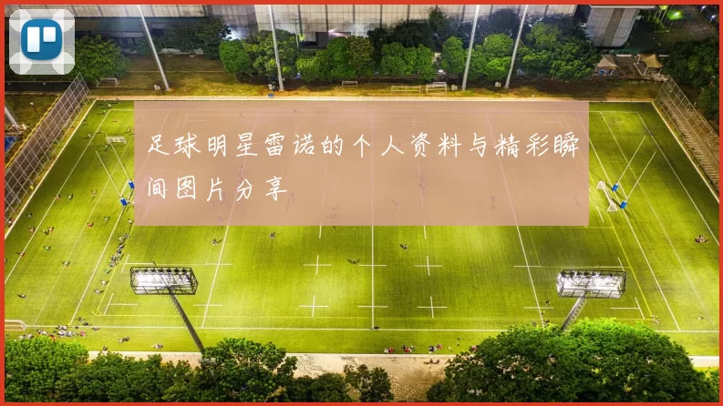 足球明星雷诺的个人资料与精彩瞬间图片分享