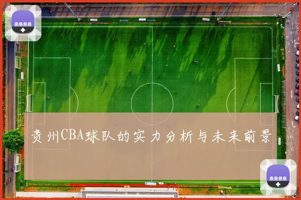 贵州CBA球队的实力分析与未来前景
