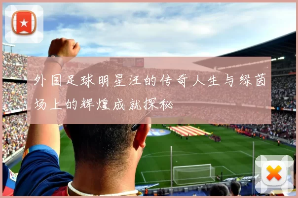 外国足球明星汪的传奇人生与绿茵场上的辉煌成就探秘