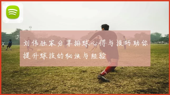刘伟独家分享排球心得与技巧助你提升球技的秘诀与经验