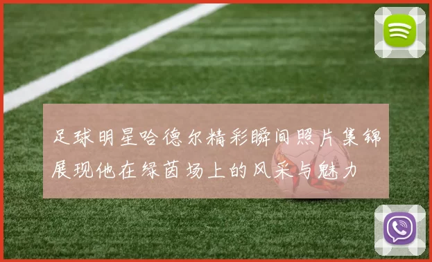 足球明星哈德尔精彩瞬间照片集锦展现他在绿茵场上的风采与魅力