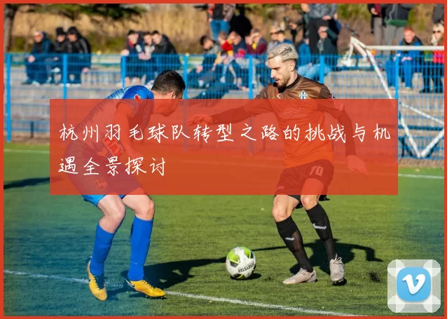杭州羽毛球队转型之路的挑战与机遇全景探讨