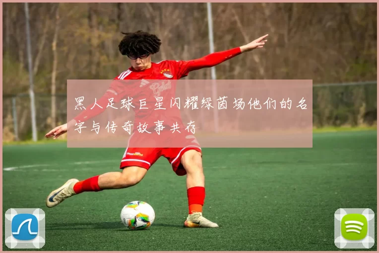 黑人足球巨星闪耀绿茵场他们的名字与传奇故事共存