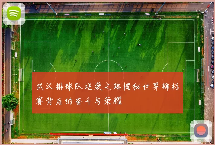 武汉排球队逆袭之路揭秘世界锦标赛背后的奋斗与荣耀