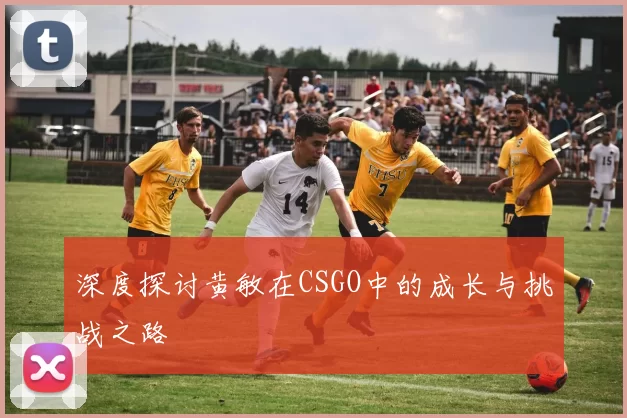 深度探讨黄敏在CSGO中的成长与挑战之路