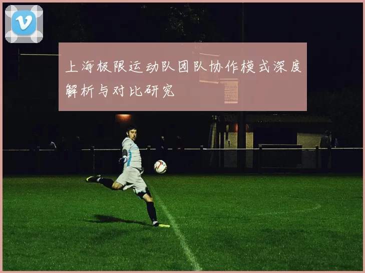 上海极限运动队团队协作模式深度解析与对比研究