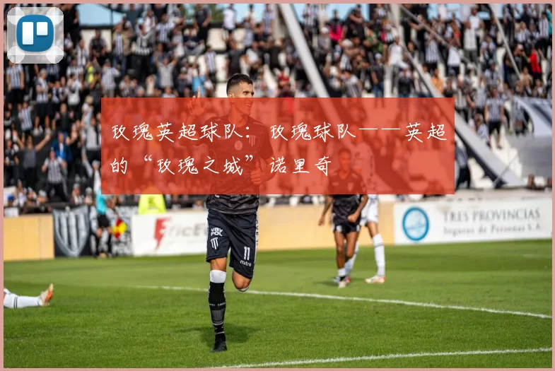 玫瑰英超球队：玫瑰球队——英超的“玫瑰之城”诺里奇