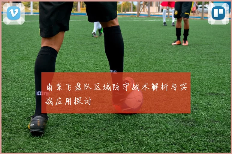 南京飞盘队区域防守战术解析与实战应用探讨