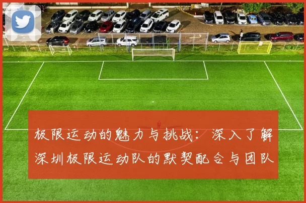 极限运动的魅力与挑战：深入了解深圳极限运动队的默契配合与团队精神