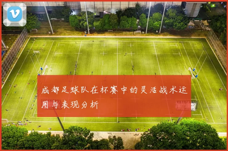 成都足球队在杯赛中的灵活战术运用与表现分析