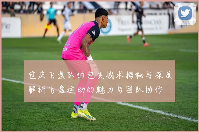 重庆飞盘队的包夹战术揭秘与深度解析飞盘运动的魅力与团队协作