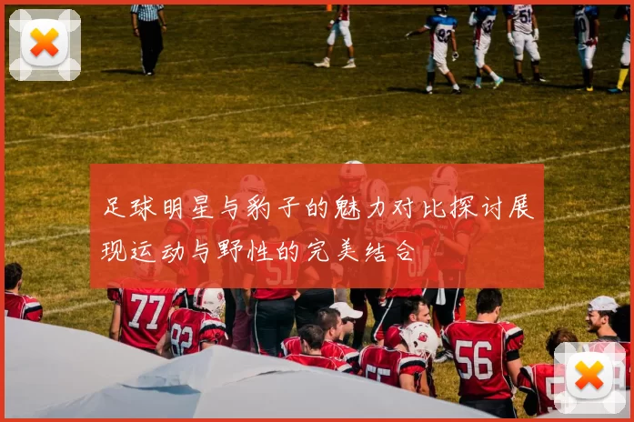 足球明星与豹子的魅力对比探讨展现运动与野性的完美结合