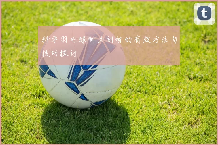 科学羽毛球耐力训练的有效方法与技巧探讨