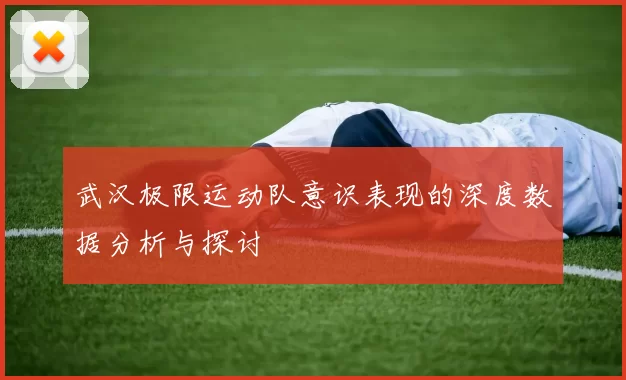 武汉极限运动队意识表现的深度数据分析与探讨