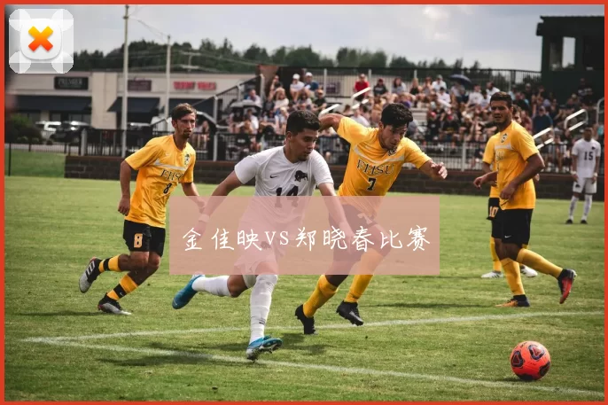 金佳映vs郑晓春比赛