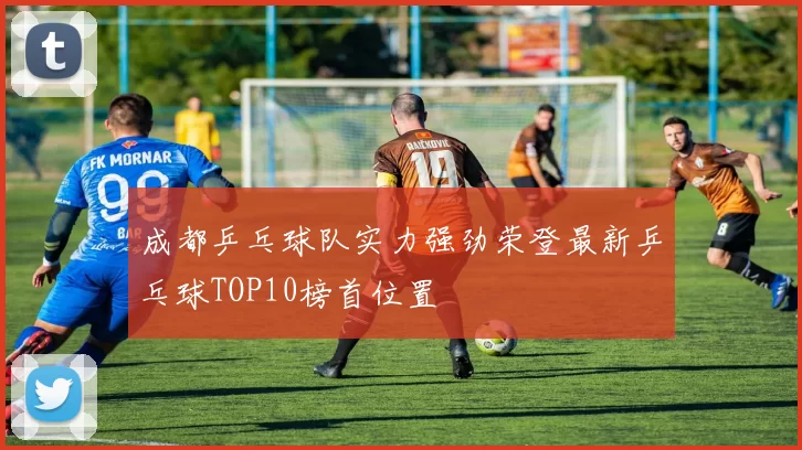 成都乒乓球队实力强劲荣登最新乒乓球TOP10榜首位置