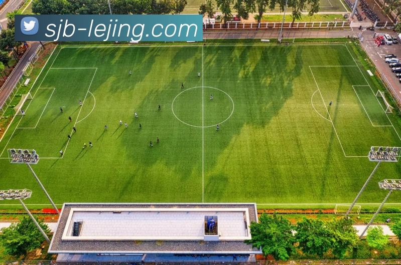 App Interface Preview